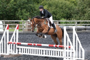 Class 7 - Fences 3' to 3'3